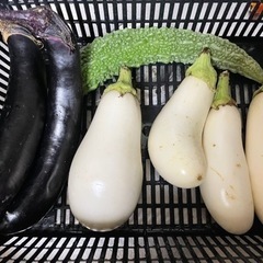 野菜セット