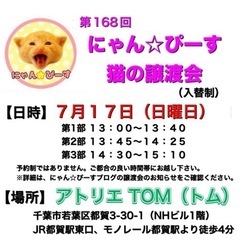 7月17日(日)🌸にゃん☆ぴーす猫の譲渡会🌸「アトリエTOM」J...