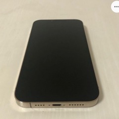 【ネット決済・配送可】iPhone 13 pro max 256...