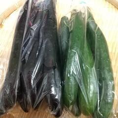 ＊規格外なす🍆5本&きゅうり🥒5本＊