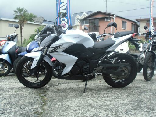 カワサキ　Z250　ニンジャ250　ネイキッド　ストリートファイター　ストファイ