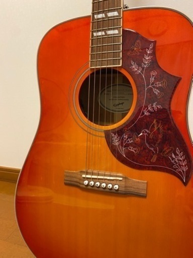 エピフォン ハミングバード Epiphone Hummingbird
