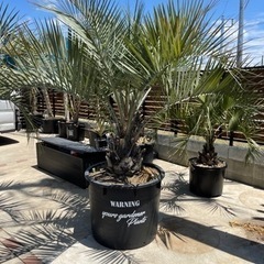 Supreme ドット柄 ワークパンツ　34 Supreme ドット柄 ワークパンツ 34