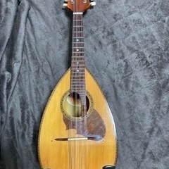 Suzuki Violin マンドリン