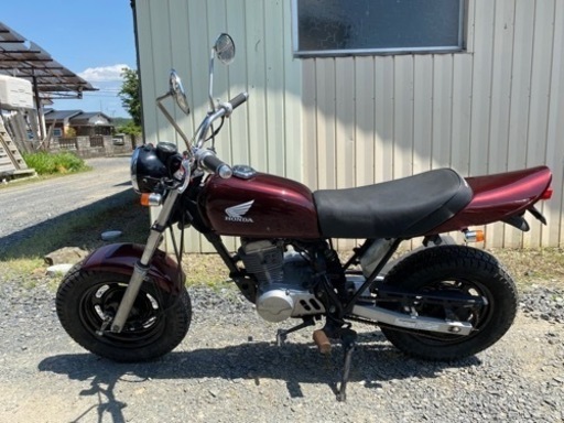 ホンダ エイプ50 キャブ・バッテリーレス
