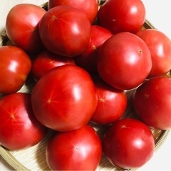 こだわり🍅対面 販売場所探してます