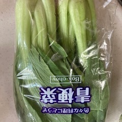 野菜 