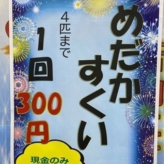 【7/17-18】めだかすくい