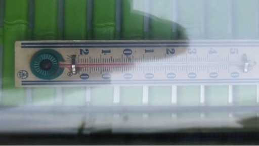 大和冷機 恒温高湿ネタケース DN511H-L単相100V 幅1500x奥行340