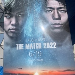 The match 2022 那須川天心 武尊 パンフレット