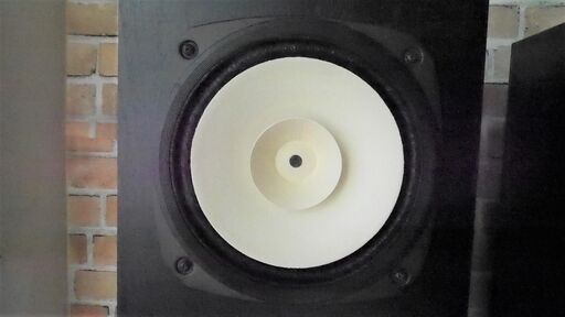 Fostex FE207 20cmフルレンジスピーカーです