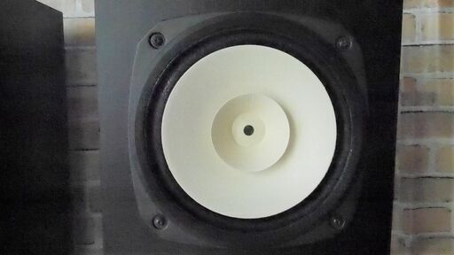 Fostex FE207 20cmフルレンジスピーカーです