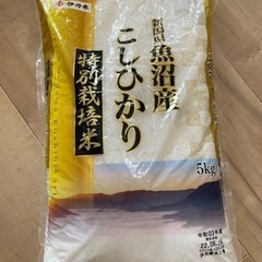 お米5ｋｇ　1000円
