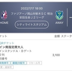 【ネット決済】7/17ファジアーノ岡山 vs 栃木SC観戦チケッ...