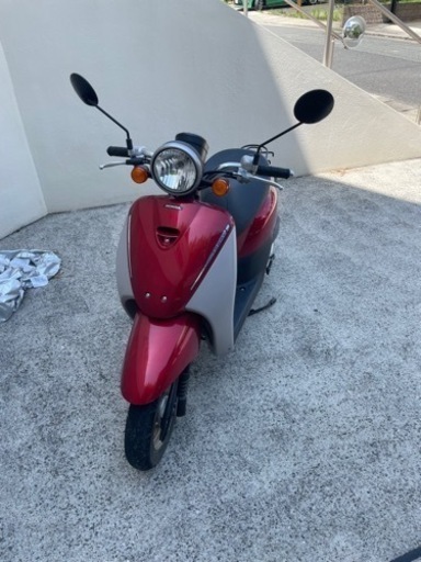 決まりました　トゥデイ　原付　50cc AF67  自賠責令和8年10迄