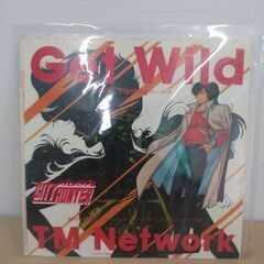 EPレコード/TM NETWORK/GET WILD/シティーハンター