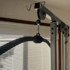 BODYSOLID ボディソリッド ラットマシン ラットプルダウン 背筋 ダンベル10㎏2枚付！USED品 現状にて 引取歓迎！