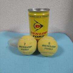 横須賀🆗ダンロップ テニスボール