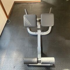 BODYSOLID ボディソリッド バックエクステンション ハイパー