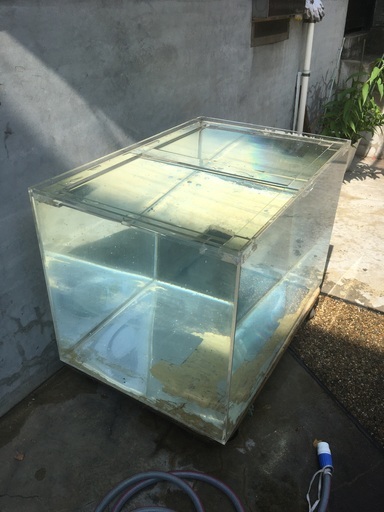 Aル☆ アクリル水槽 90×60×60 熱帯魚 - bravista.com.br