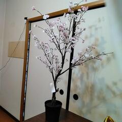 《8/11処分》【無料】IKEA 桜 造花 状態良美品