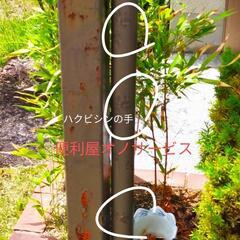 アシナガバチ、スズメバチ、ゴキブリ、コウモリ、その他お任せください❗