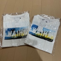 ２点セット！！新品　Tシャツ　ハワイ