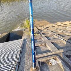 ワールドシャウラ1652