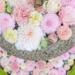 神社・花手水・御朱印・カフェ巡り友達募集