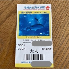 美ら海水族館　大人チケット 1枚