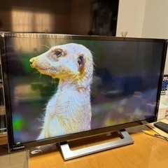 最新2022年式 REGZA＋外付けHDD320G‼️