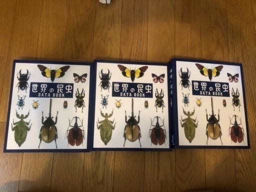 ディアゴスティーニ 世界の昆虫 データブック・レプリカ標本セット