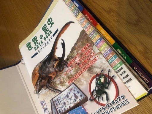 ディアゴスティーニ 世界の昆虫 データブック・レプリカ標本セット