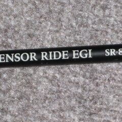 PRO:TRUST SENSOR RIDE EGISR-862 ...