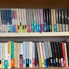 海外小説、辞書