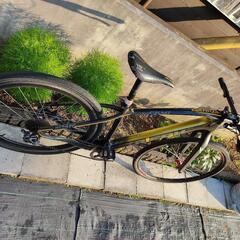 フルカーボン29erマウンテンバイク