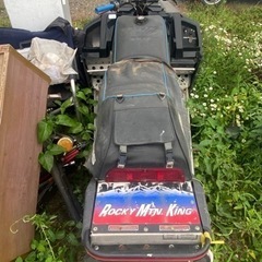 インディー500  ※青い方です　早い方優先にします。