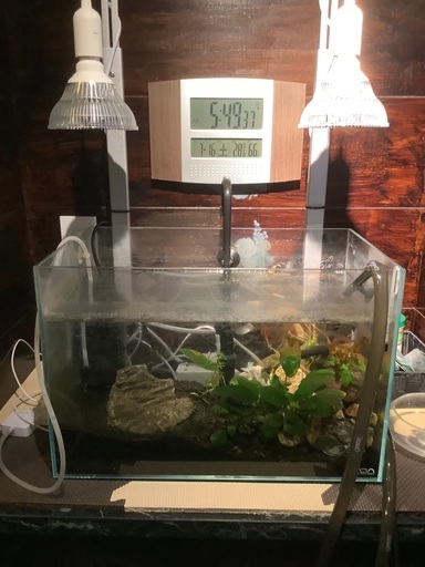 水槽2点と熱帯魚関連部品一式