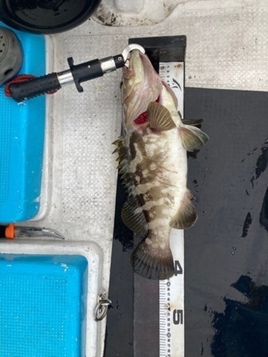 釣り船　ボート