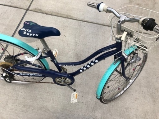 ２６インチ　自転車　ブリジストン  ワイルドベリー