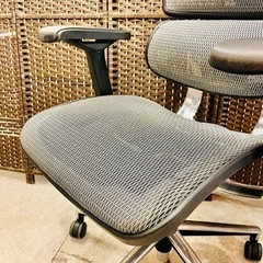 売約済み】 エルゴヒューマン ベーシック basic メッシュ 背面メッシュ 