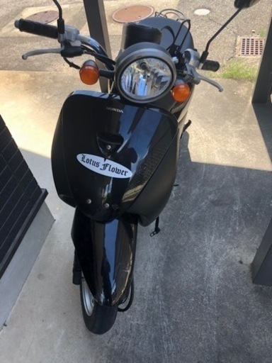 トゥデイ50cc！自賠責切れてます。