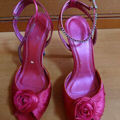 婦人靴（STRAWBERRYFIELDS）22,5