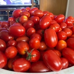 完熟🍅アイコ