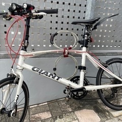 GIANT Bicycle IDOM