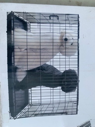 大型犬ケージxxl