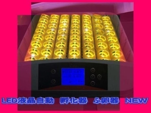 LED 鳥類専用孵卵器　ふ卵器　孵化器　ふ化器　インキュベーター 56個