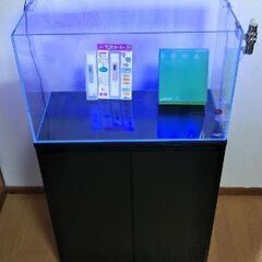 水槽セット&レイアウト用品