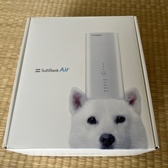 SoftBank Airターミナル4