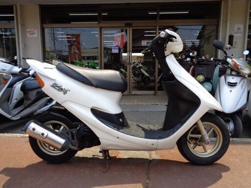 写真用 NO.4390 ライブディオZX （DIO） 2サイクル ハネ付き
